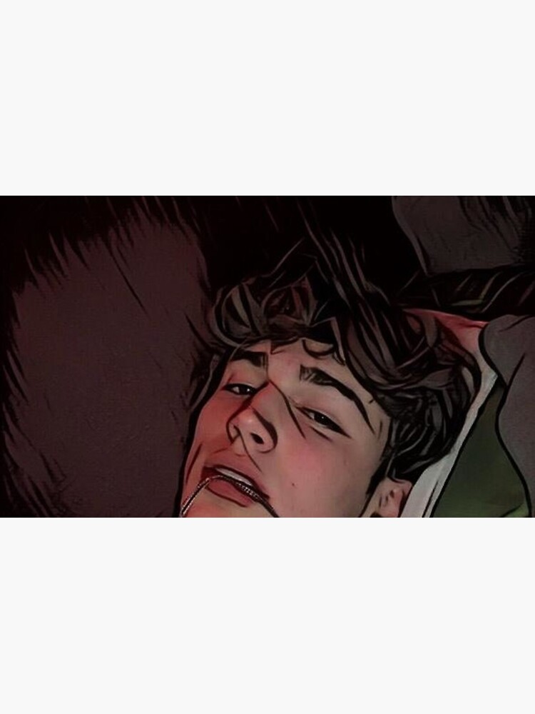 artwork Offical Vinnie Hacker Merch