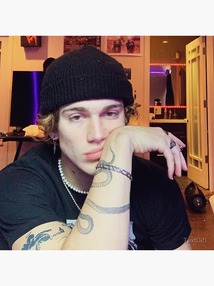 artwork Offical Vinnie Hacker Merch