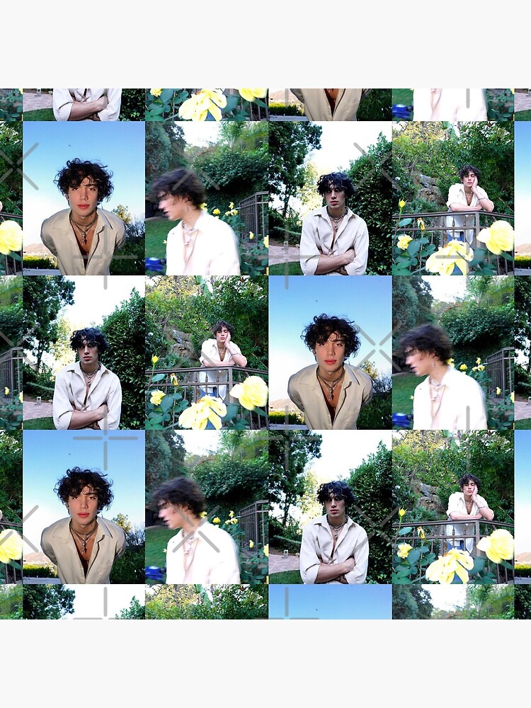 artwork Offical Vinnie Hacker Merch