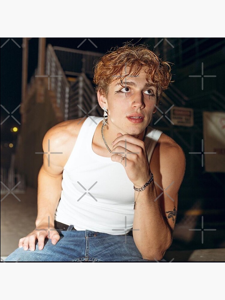 artwork Offical Vinnie Hacker Merch