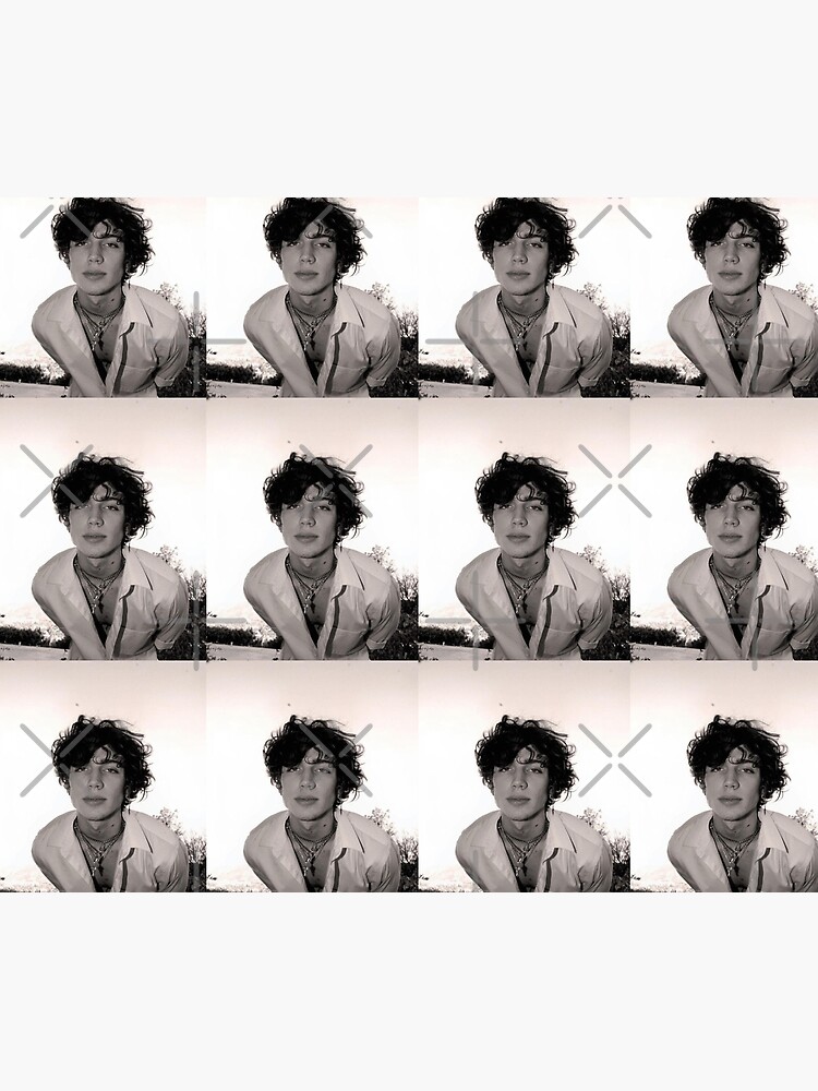 artwork Offical Vinnie Hacker Merch