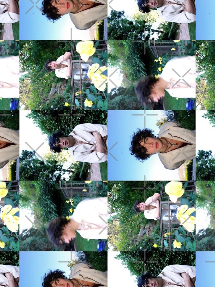 artwork Offical Vinnie Hacker Merch