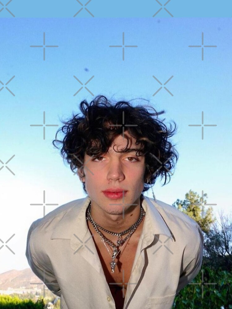 artwork Offical Vinnie Hacker Merch