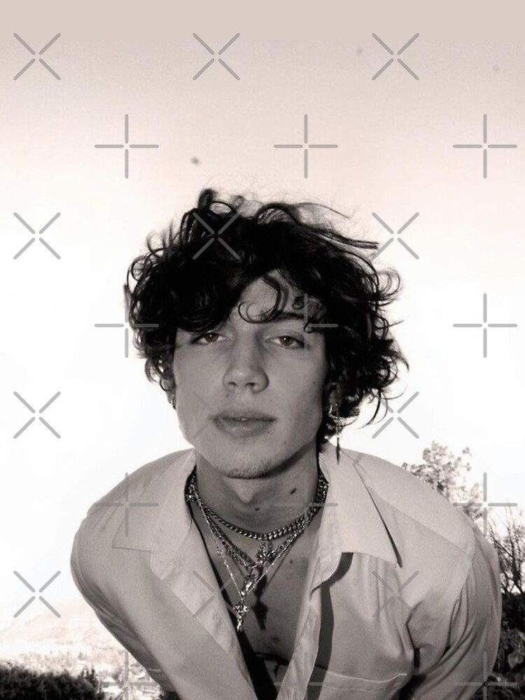 artwork Offical Vinnie Hacker Merch