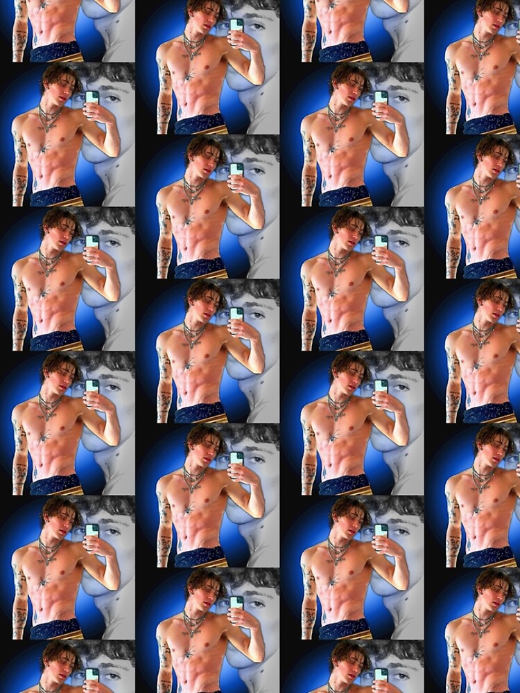 artwork Offical Vinnie Hacker Merch