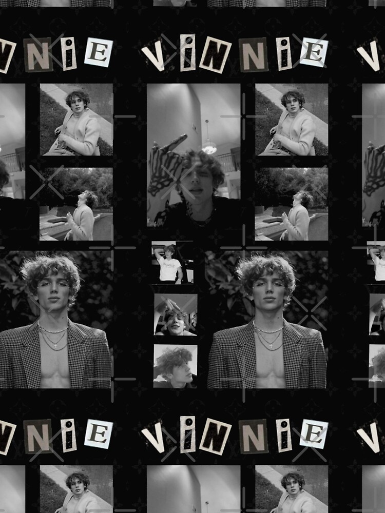 artwork Offical Vinnie Hacker Merch