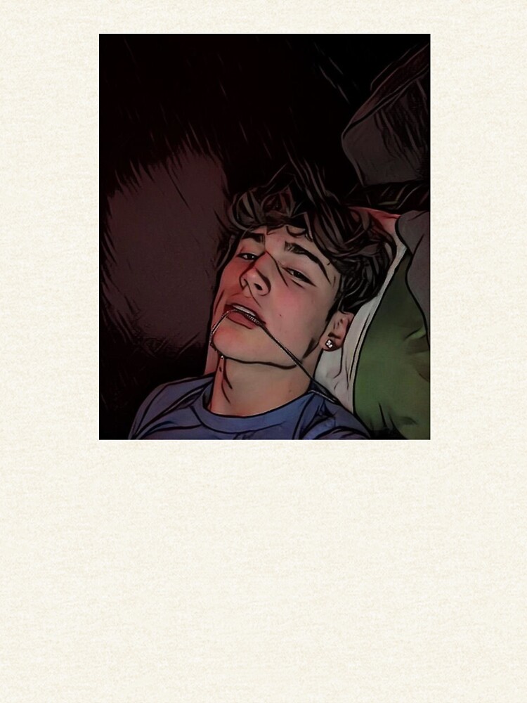 artwork Offical Vinnie Hacker Merch