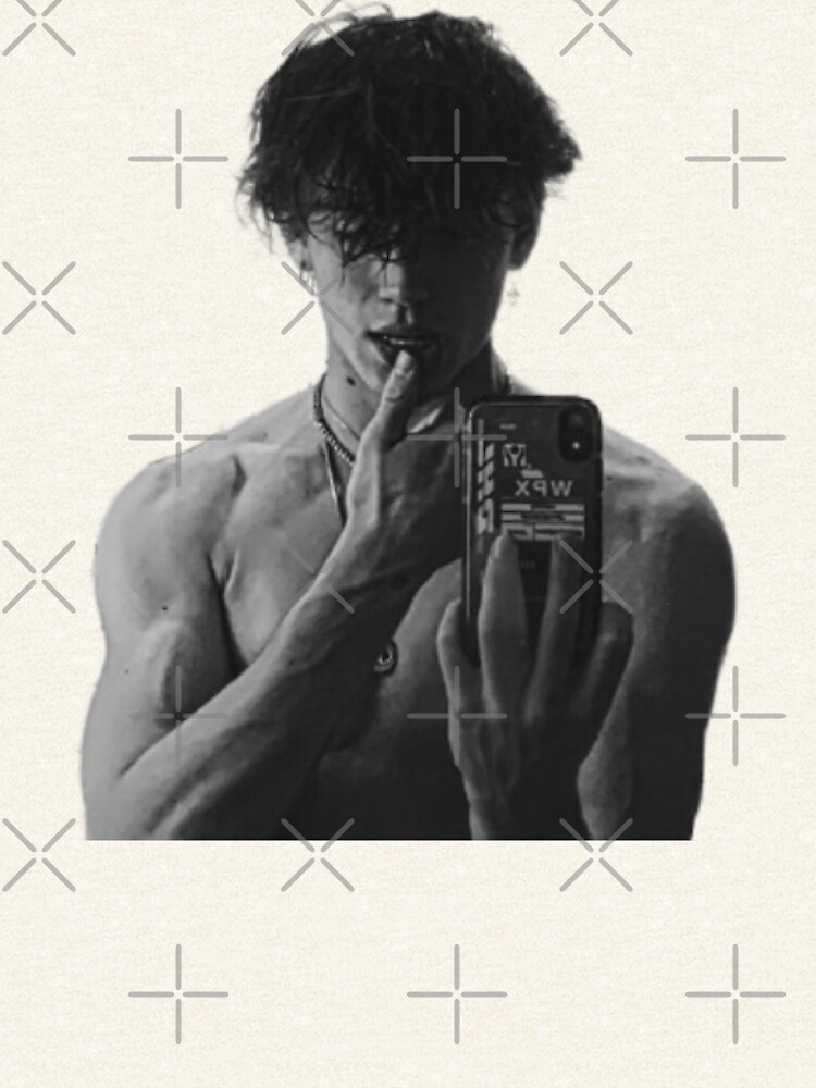 artwork Offical Vinnie Hacker Merch